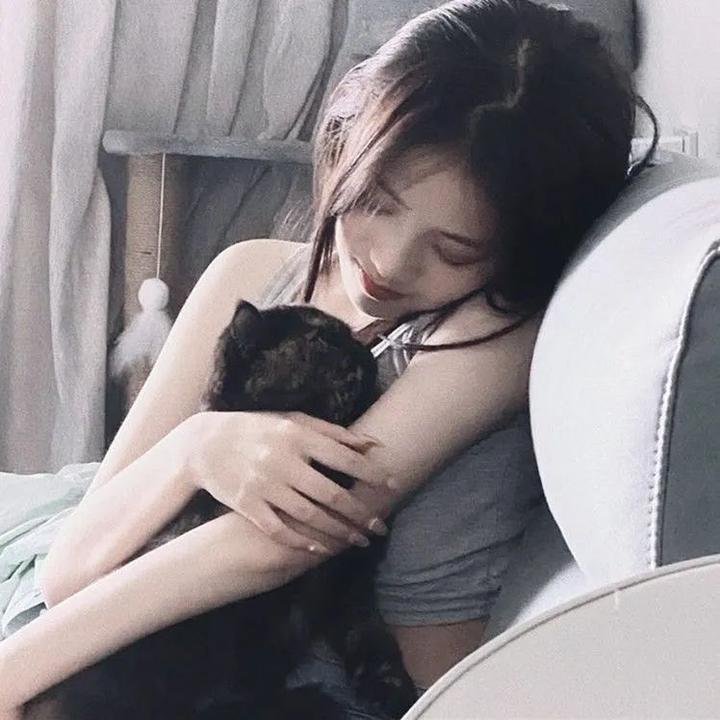 情圣粤语