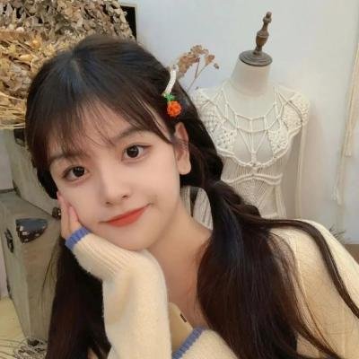 追星星的人2